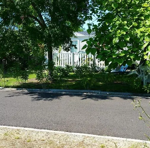 Maison Accueillante A Avec Piscine Et Jardin Biscarrosse