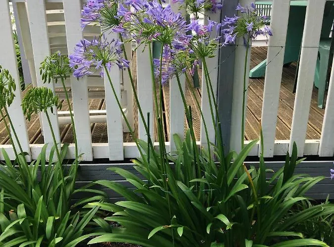 Maison Accueillante A Avec Piscine Et Jardin Feriehus Biscarrosse