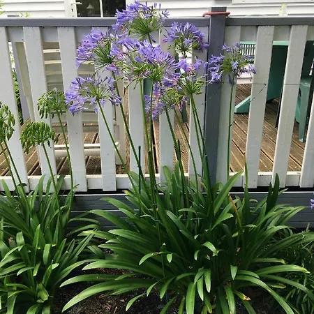 Maison Accueillante à Avec Piscine Et Jardin Casa de Férias Biscarrosse